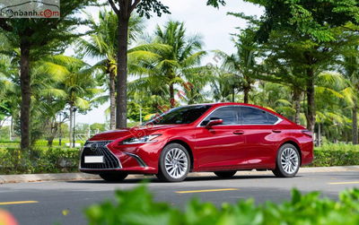 Xe Lexus ES 300h 2022