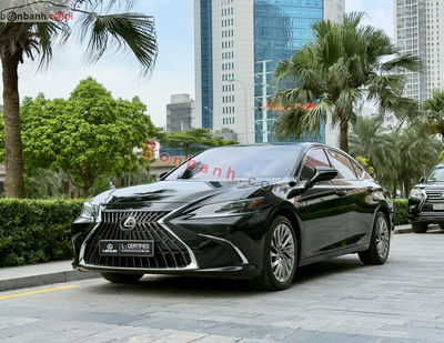 Xe Lexus ES 300h 2023