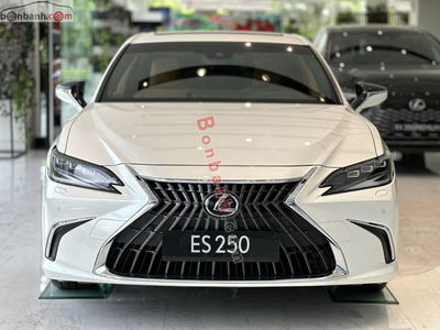 Xe Lexus ES 250 2025