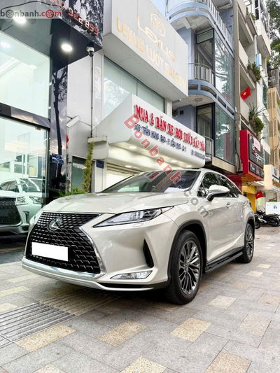 Xe Lexus RX 300 2020