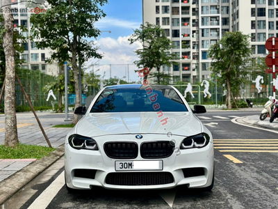Xe BMW 5 Series 520i 2012