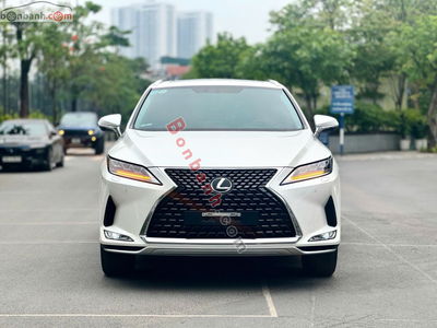 Xe Lexus RX 300 2022