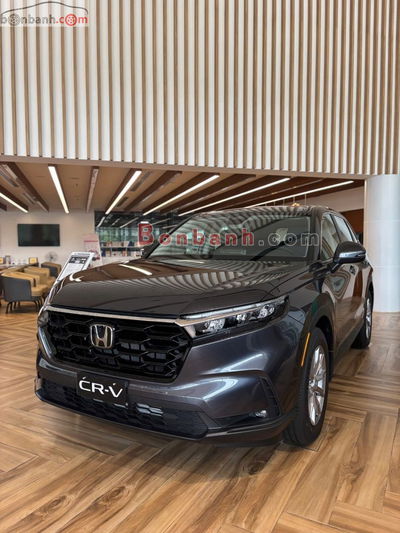 Xe Honda CRV L 2025