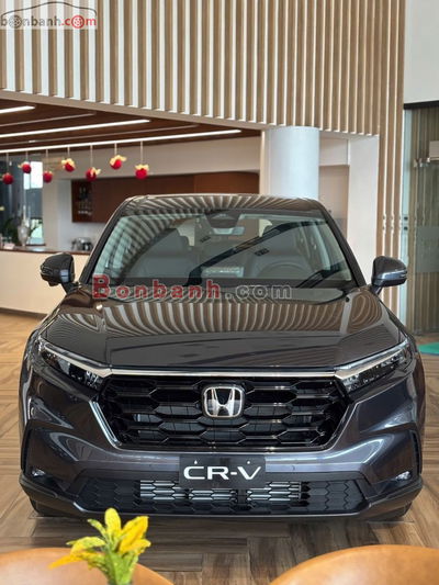 Xe Honda CRV L 2025