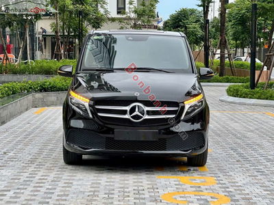 Xe Mercedes Benz V class V250 Luxury 2021