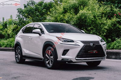 Xe Lexus NX 300 2021