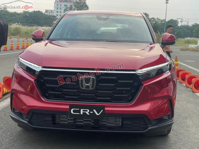 Xe Honda CRV L 2025
