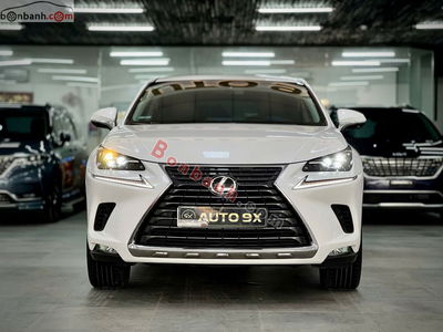 Xe Lexus NX 300 2018