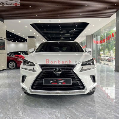 Xe Lexus NX 300 2021