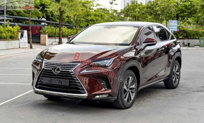 Xe Lexus NX 300 2018