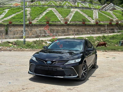 Xe Toyota Camry 2.5HV 2022