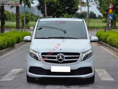 Xe Mercedes Benz V class V250 Luxury 2019