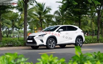 Xe Lexus NX 300 2018