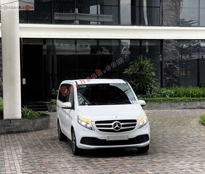 Xe Mercedes Benz V class V250 Luxury 2019