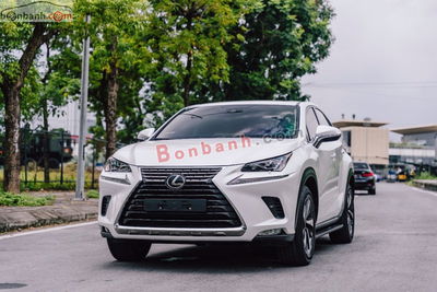 Xe Lexus NX 300 2021