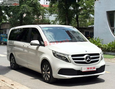Xe Mercedes Benz V class V250 Luxury 2019