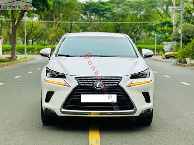 Xe Lexus NX 300 2019