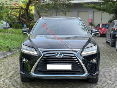 Xe Lexus RX 300 2018