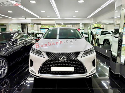 Xe Lexus RX 300 2022