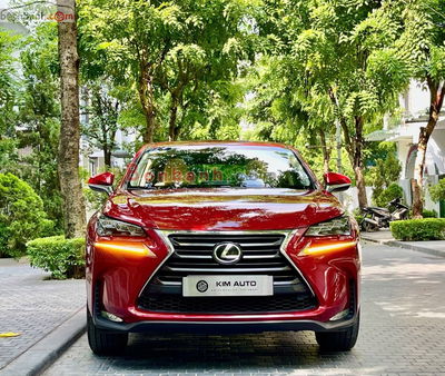 Xe Lexus NX 200t 2016