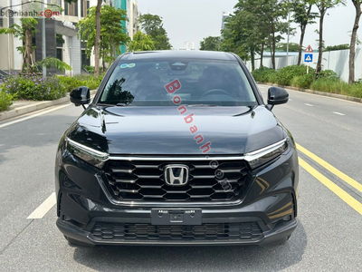 Xe Honda CRV L 2024