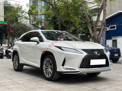 Xe Lexus RX 300 2021