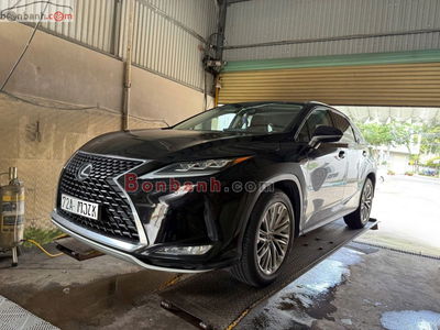 Xe Lexus RX 300 2019