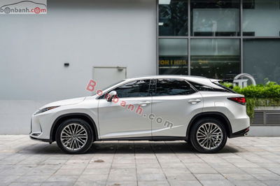 Xe Lexus RX 300 2021