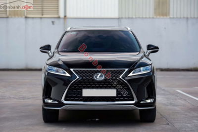 Xe Lexus RX 300 2019