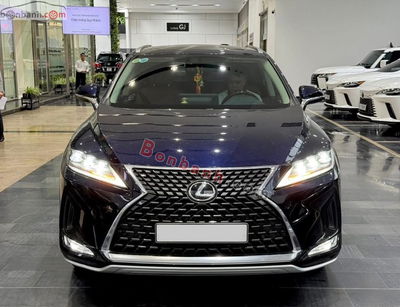 Xe Lexus RX 300 2022