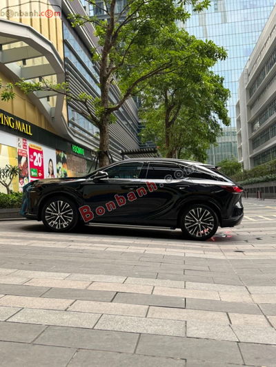 Xe Lexus RX 350 Premium 2023