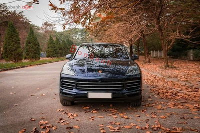 Xe Porsche Cayenne 3.0 V6 2019