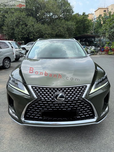 Xe Lexus RX 300 2020