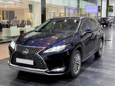 Xe Lexus RX 300 2022