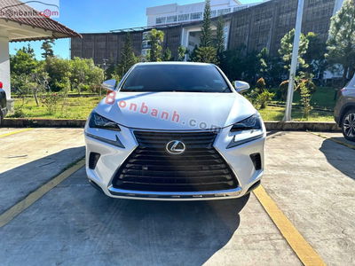 Xe Lexus NX 300 2017