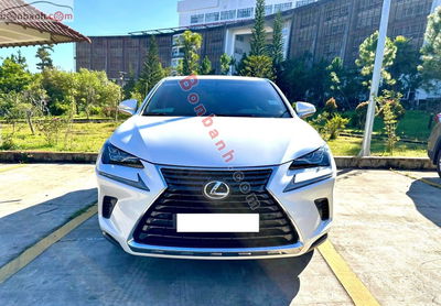 Xe Lexus NX 300 2018
