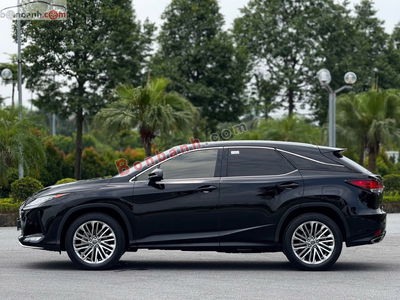 Xe Lexus RX 300 2021