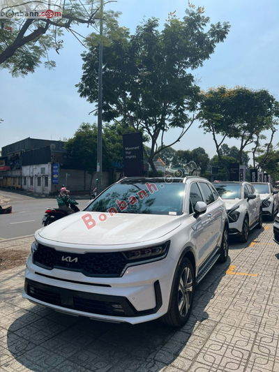 Xe Kia Sorento Signature 2.2D AT AWD 2025