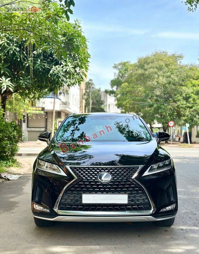 Xe Lexus RX 300 2021