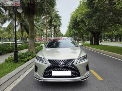 Xe Lexus RX 300 2021