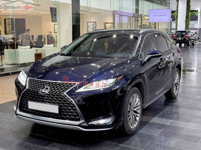 Xe Lexus RX 300 2022