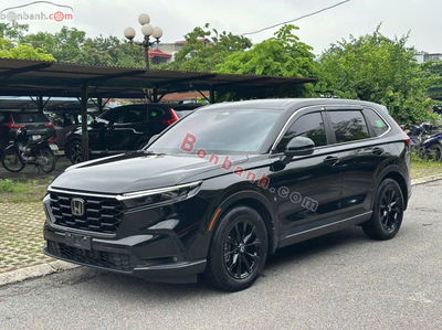 Xe Honda CRV L 2024