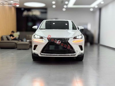Xe Lexus NX 300 2017