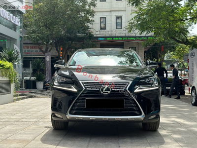 Xe Lexus NX 300 2018
