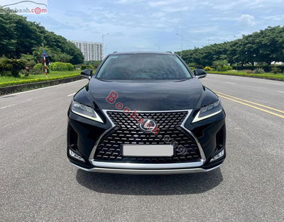 Xe Lexus RX 300 2019