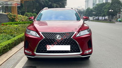 Xe Lexus RX 300 2021