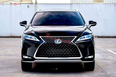 Xe Lexus RX 300 2020