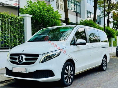 Xe Mercedes Benz V class V250 Luxury 2019