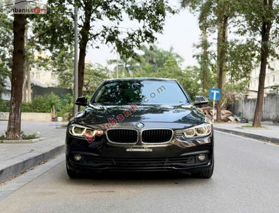 Xe BMW 3 Series 320i 2015