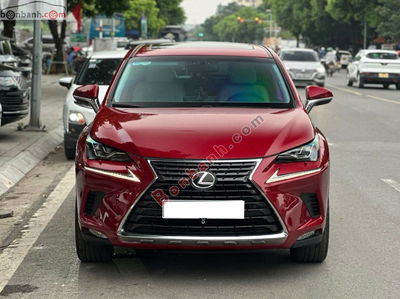 Xe Lexus NX 300 2017